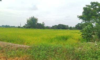 Venta de Terreno en Ricaurte, Los Ríos