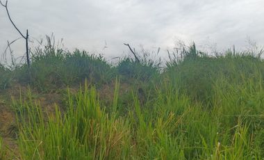 Venta de Terreno en Ricaurte, Los Ríos