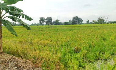 Venta de Terreno en Ricaurte, Los Ríos