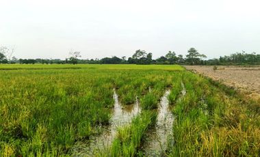 Venta de Terreno en Ricaurte, Los Ríos