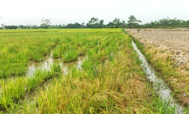 Venta de Terreno en Ricaurte, Los Ríos