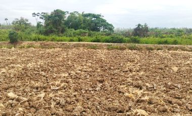 Venta de Terreno en Ricaurte, Los Ríos