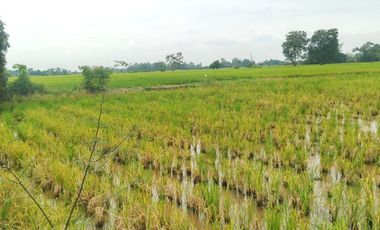 Venta de Terreno en Ricaurte, Los Ríos