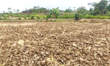 Venta de Terreno en Ricaurte, Los Ríos