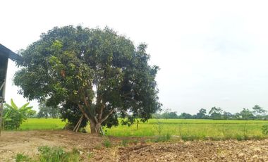 Venta de Terreno en Ricaurte, Los Ríos