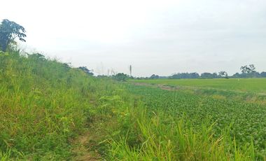 Venta de Terreno en Ricaurte, Los Ríos