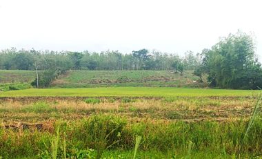 Venta de Terreno en Ricaurte, Los Ríos