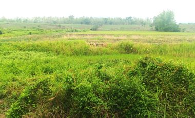 Venta de Terreno en Ricaurte, Los Ríos