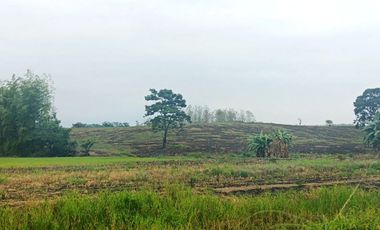 Venta de Terreno en Ricaurte, Los Ríos