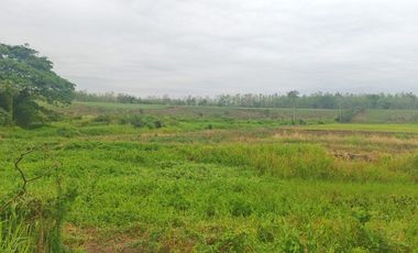 Venta de Terreno en Ricaurte, Los Ríos