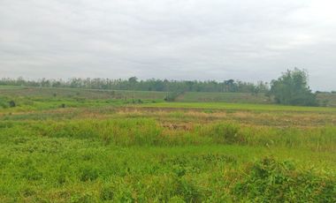 Venta de Terreno en Ricaurte, Los Ríos