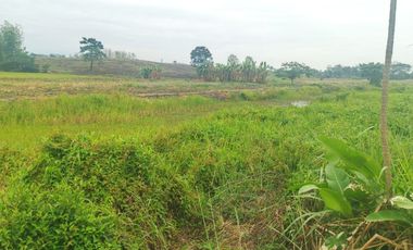 Venta de Terreno en Ricaurte, Los Ríos