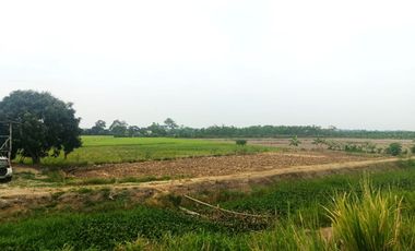 Venta de Terreno en Ricaurte, Los Ríos