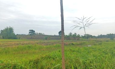 Venta de Terreno en Ricaurte, Los Ríos