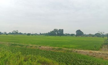 Venta de Terreno en Ricaurte, Los Ríos