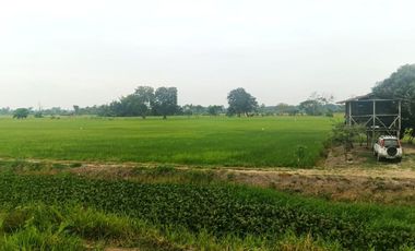 Venta de Terreno en Ricaurte, Los Ríos