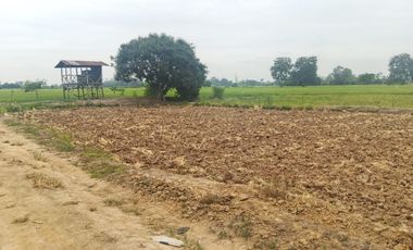 Venta de Terreno en Ricaurte, Los Ríos