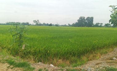 Venta de Terreno en Ricaurte, Los Ríos