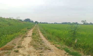 Venta de Terreno en Ricaurte, Los Ríos