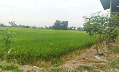 Venta de Terreno en Ricaurte, Los Ríos