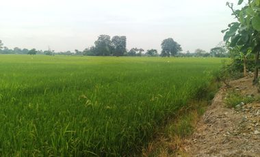 Venta de Terreno en Ricaurte, Los Ríos