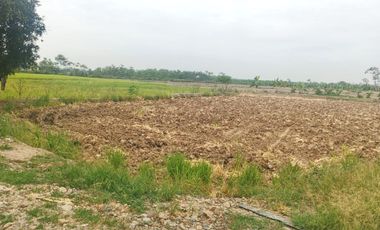 Venta de Terreno en Ricaurte, Los Ríos