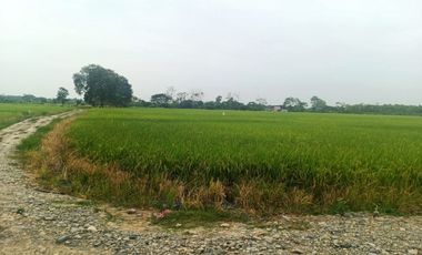 Venta de Terreno en Ricaurte, Los Ríos