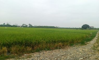 Venta de Terreno en Ricaurte, Los Ríos