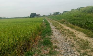 Venta de Terreno en Ricaurte, Los Ríos