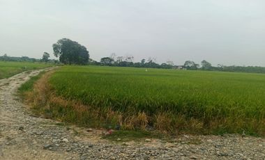 Venta de Terreno en Ricaurte, Los Ríos