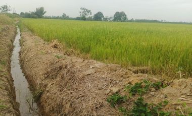 Venta de Terreno en Ricaurte, Los Ríos