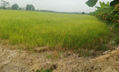 Venta de Terreno en Ricaurte, Los Ríos