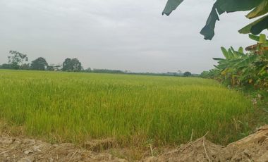 Venta de Terreno en Ricaurte, Los Ríos