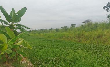 Venta de Terreno en Ricaurte, Los Ríos