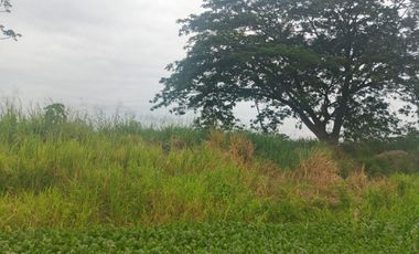 Venta de Terreno en Ricaurte, Los Ríos