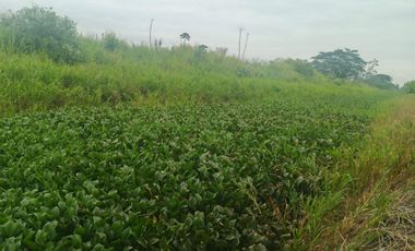 Venta de Terreno en Ricaurte, Los Ríos