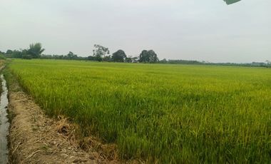 Venta de Terreno en Ricaurte, Los Ríos