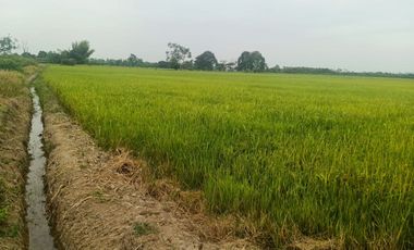 Venta de Terreno en Ricaurte, Los Ríos