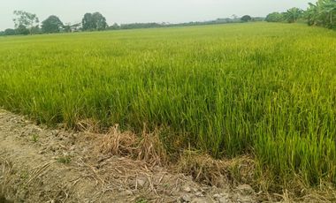 Venta de Terreno en Ricaurte, Los Ríos