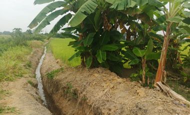 Venta de Terreno en Ricaurte, Los Ríos