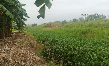 Venta de Terreno en Ricaurte, Los Ríos
