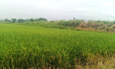 Venta de Terreno en Ricaurte, Los Ríos