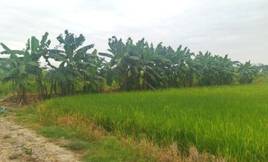 Venta de Terreno en Ricaurte, Los Ríos