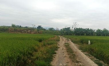 Venta de Terreno en Ricaurte, Los Ríos