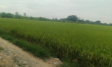 Venta de Terreno en Ricaurte, Los Ríos