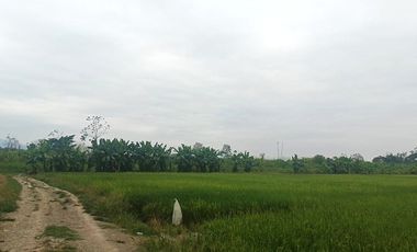 Venta de Terreno en Ricaurte, Los Ríos