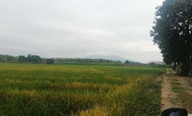 Venta de Terreno en Ricaurte, Los Ríos