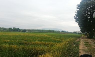 Venta de Terreno en Ricaurte, Los Ríos