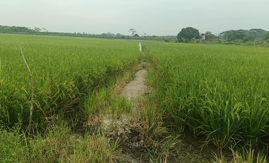 Venta de Terreno en Ricaurte, Los Ríos