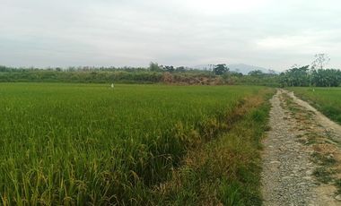 Venta de Terreno en Ricaurte, Los Ríos